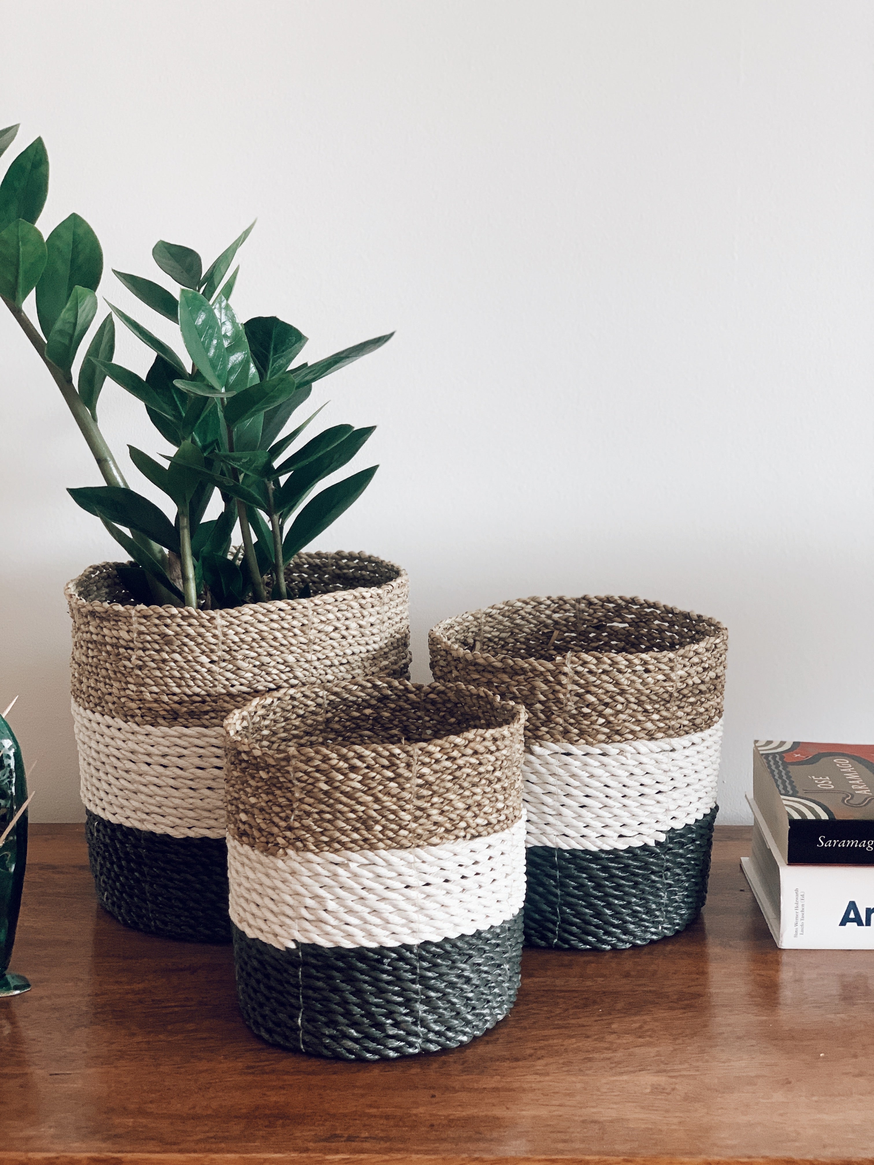 Cesto Asmara Tricolor