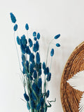 Dried Blue Phalaris Flowers