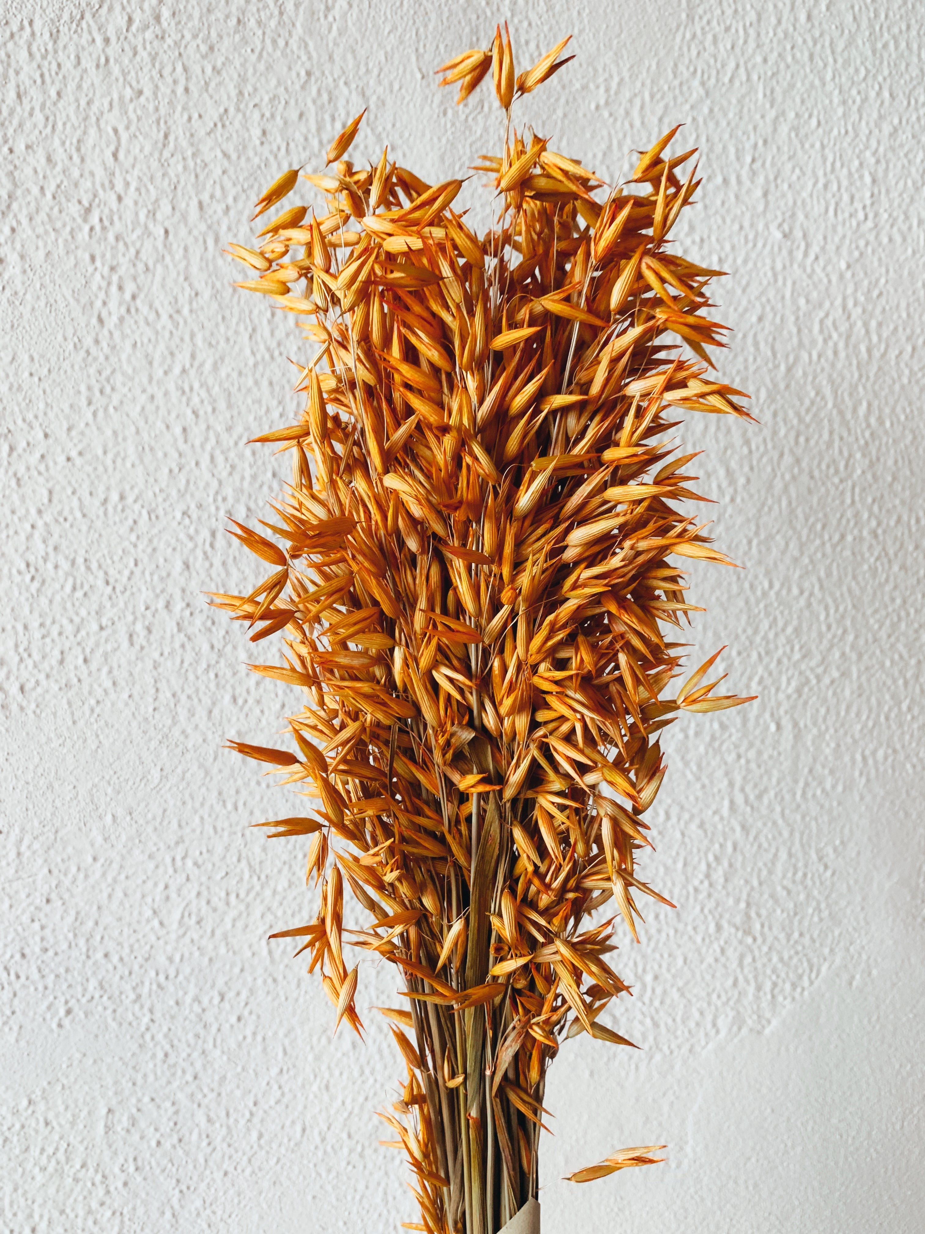 Orange Spike Dried Flowers