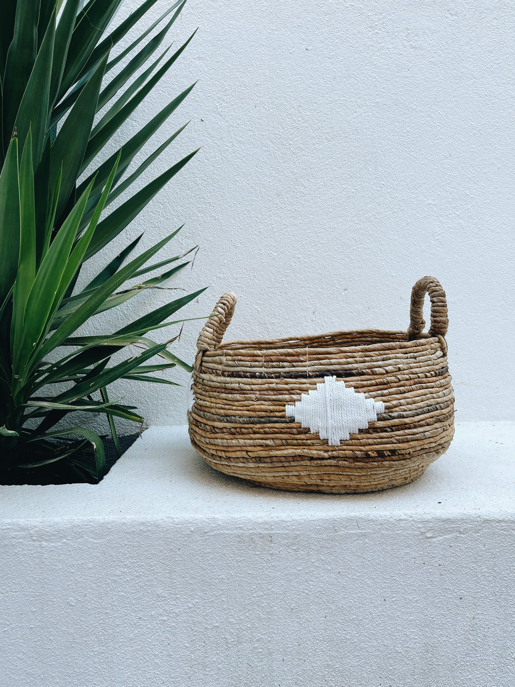 Low Planter Basket
