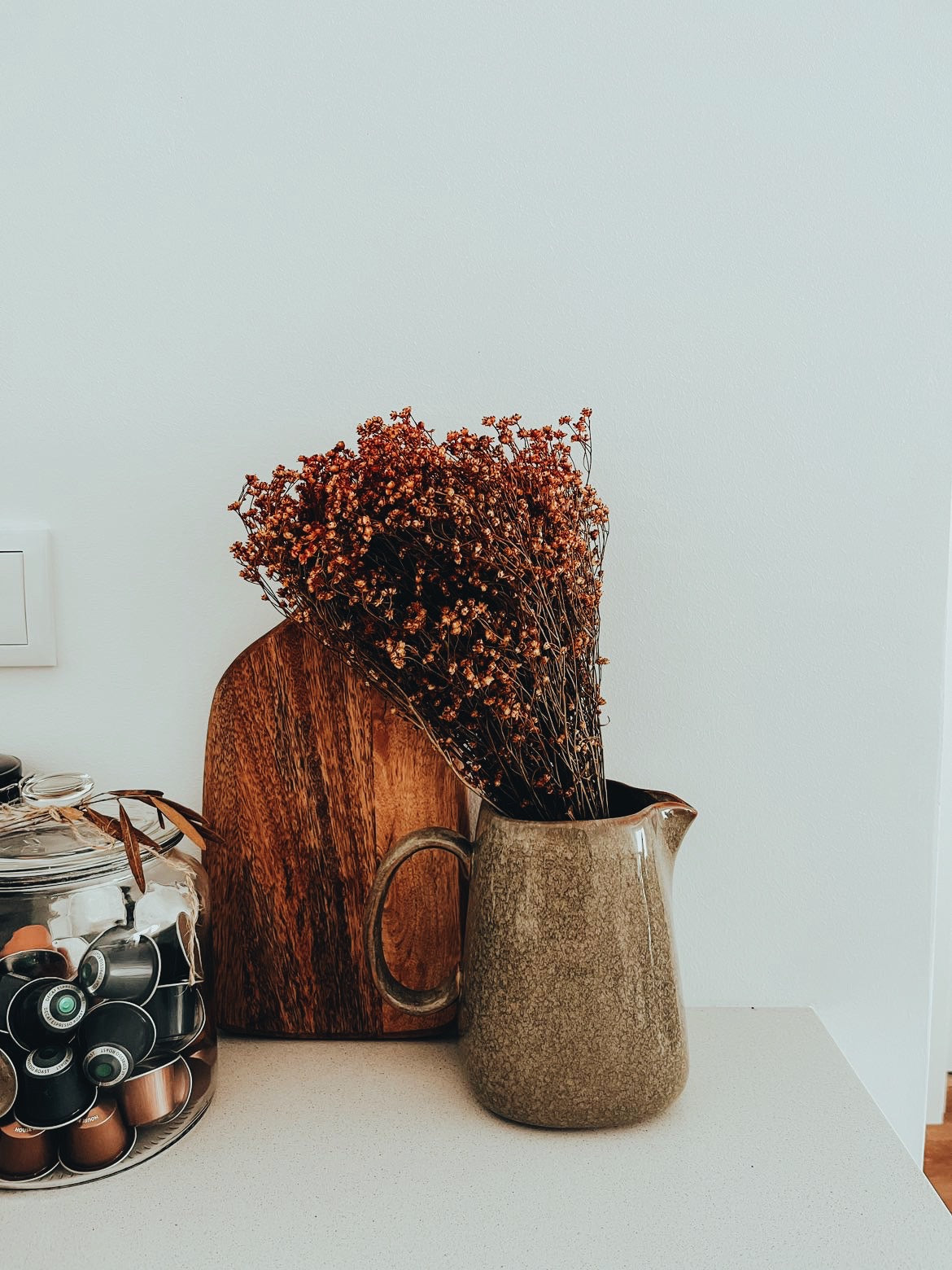 Dried Flowers Broom Bloom Orange