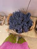 Dried Lavender Flowers