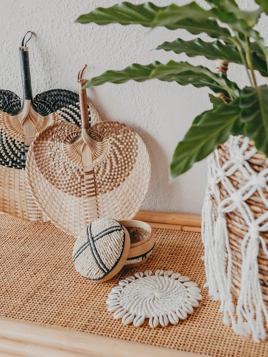 Leques Coloridos - S