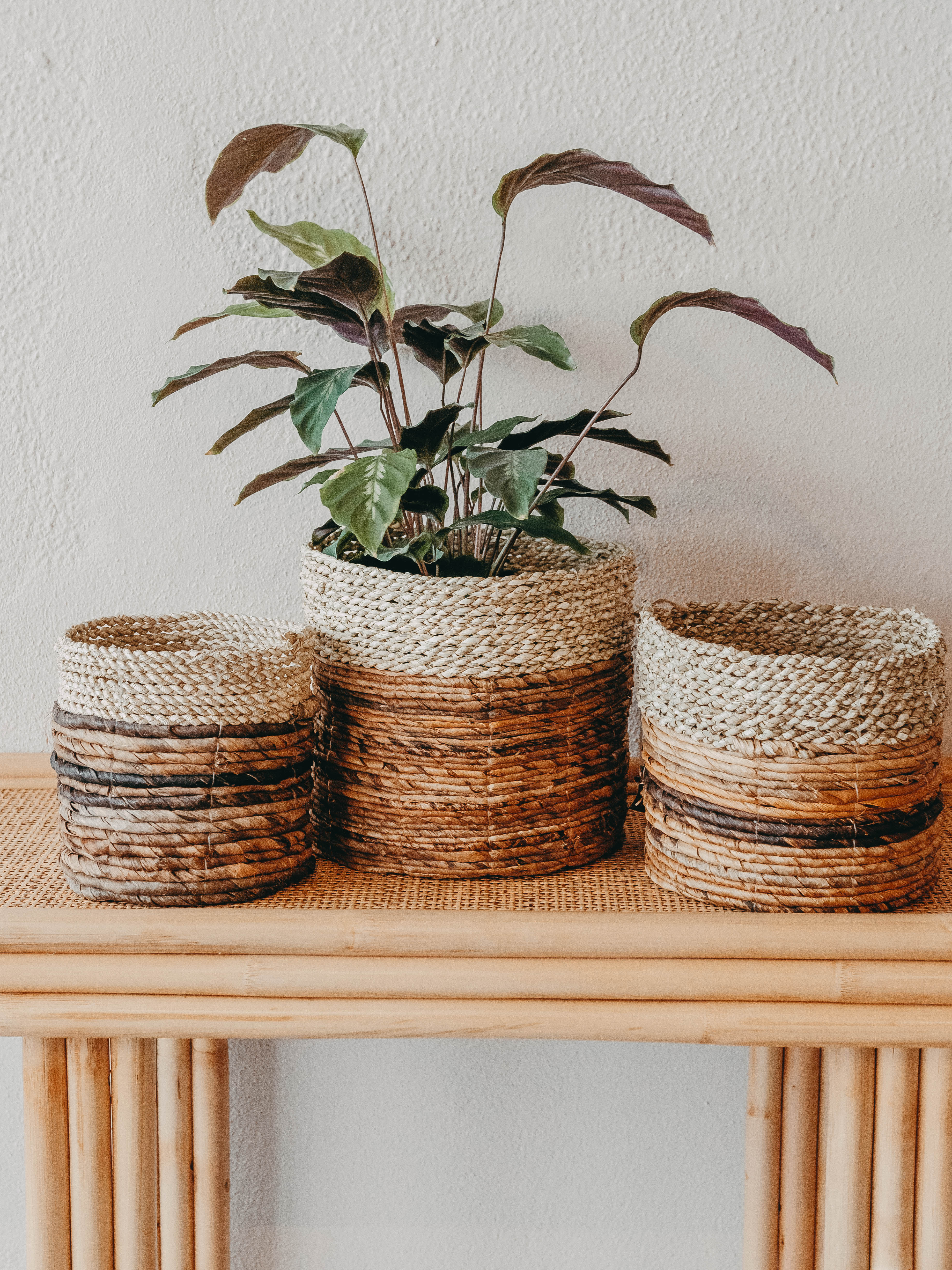 Asmara Natural Basket