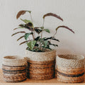 Asmara Natural Basket