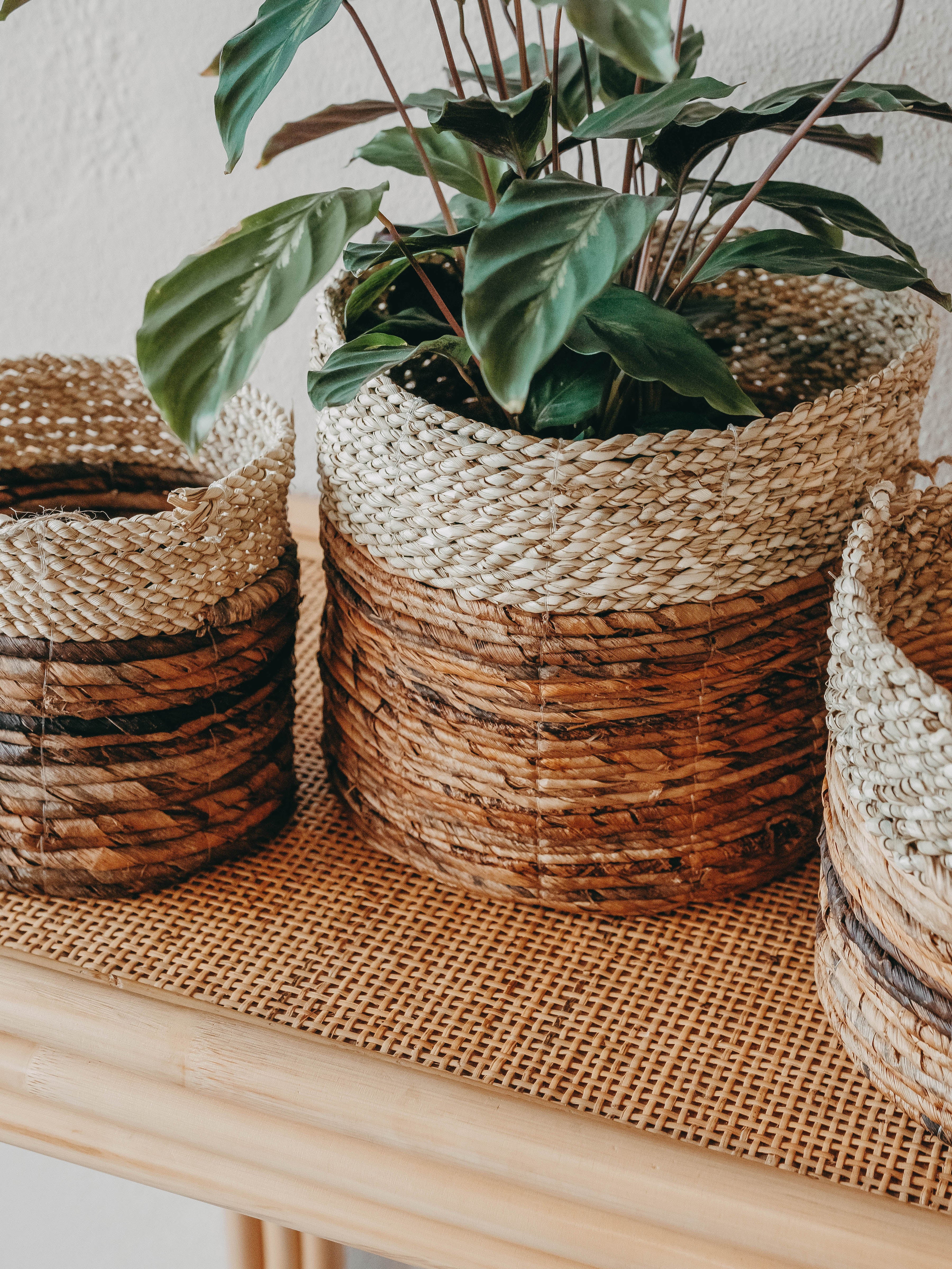 Asmara Natural Basket