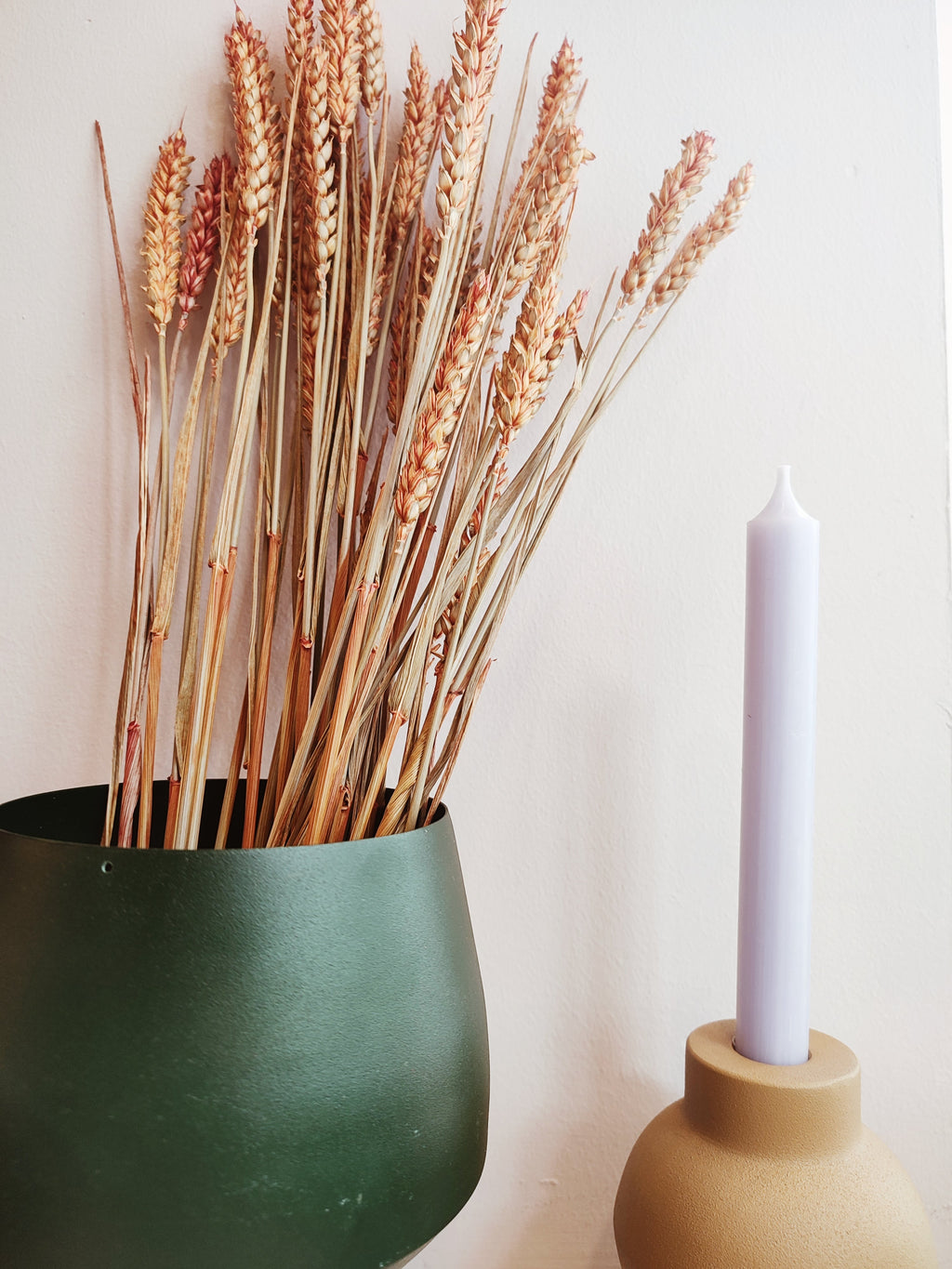 Dried Flowers Wheat Orange