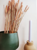 Dried Flowers Wheat Orange