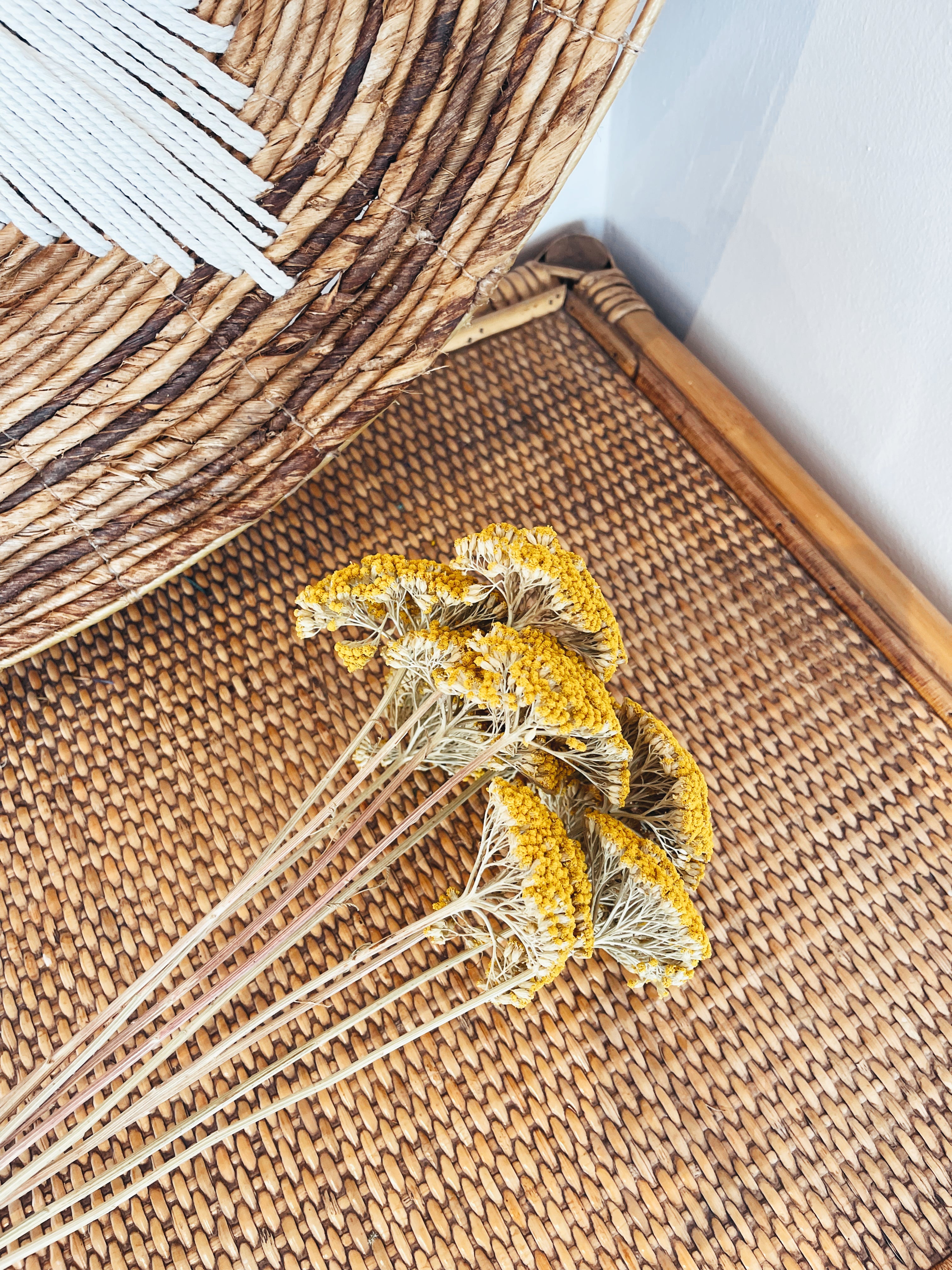 Dried Flowers Achillea Parker Yellow