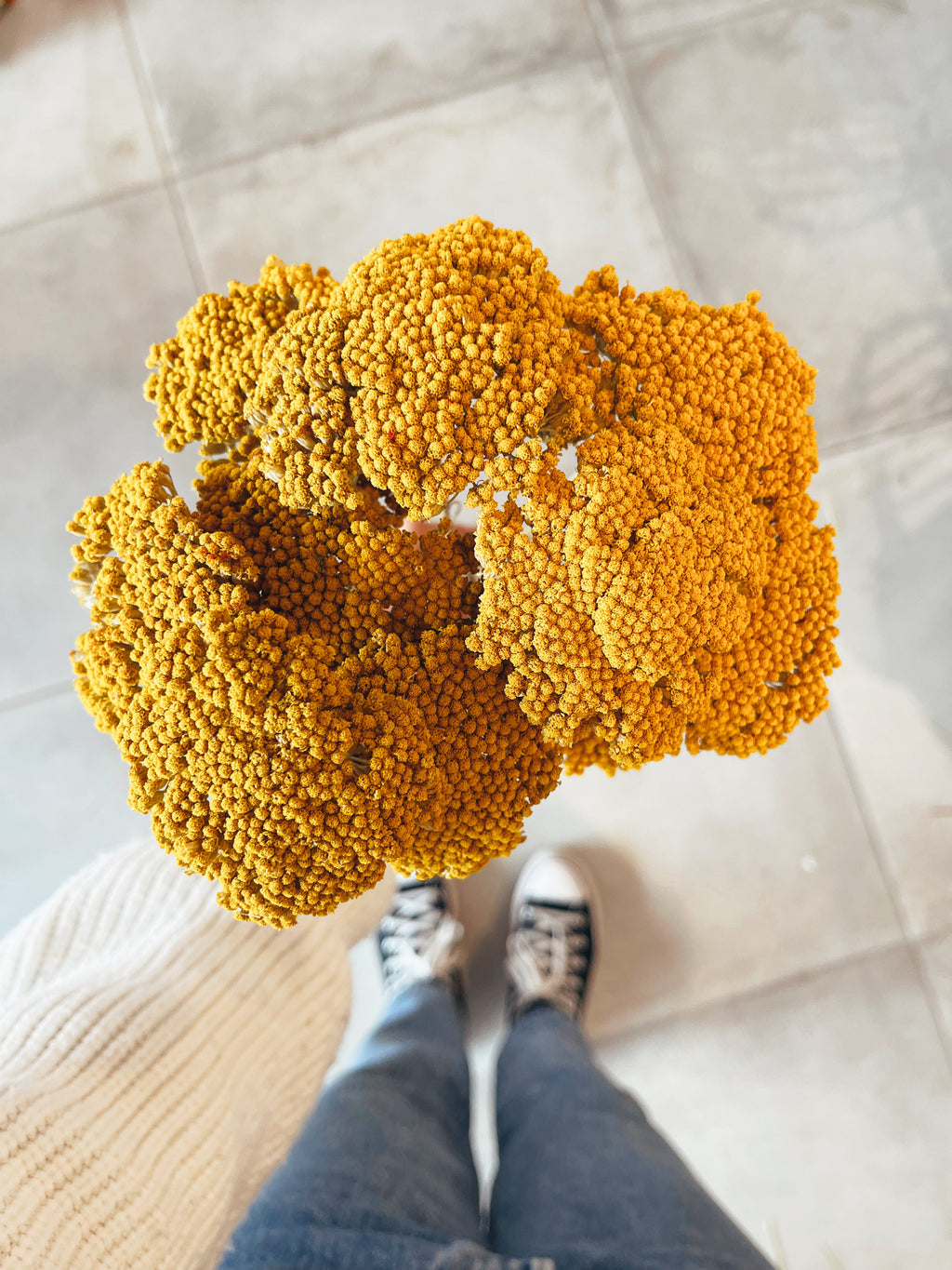 Dried Flowers Achillea Parker Yellow