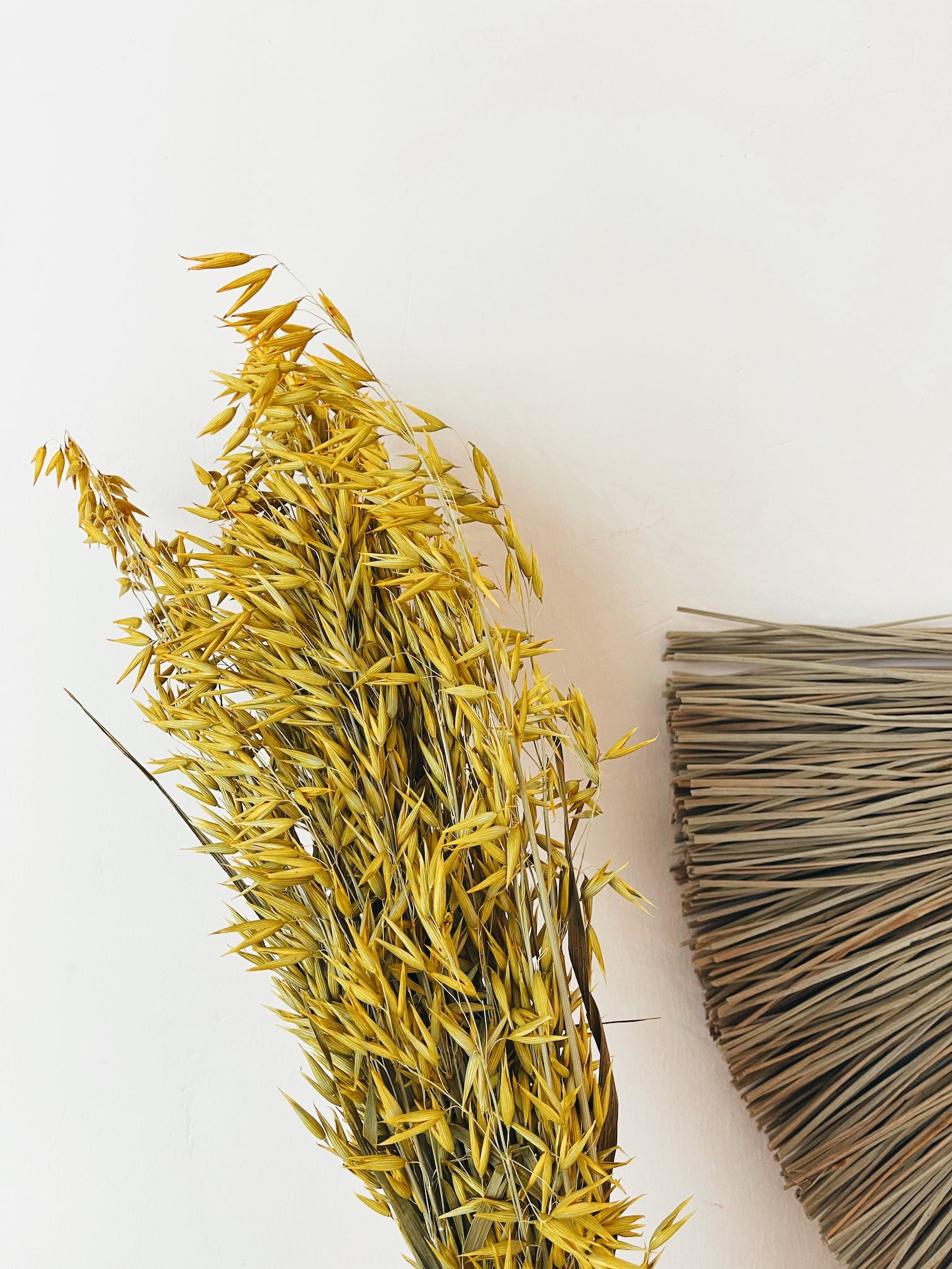 Dried Flowers Yellow Spike