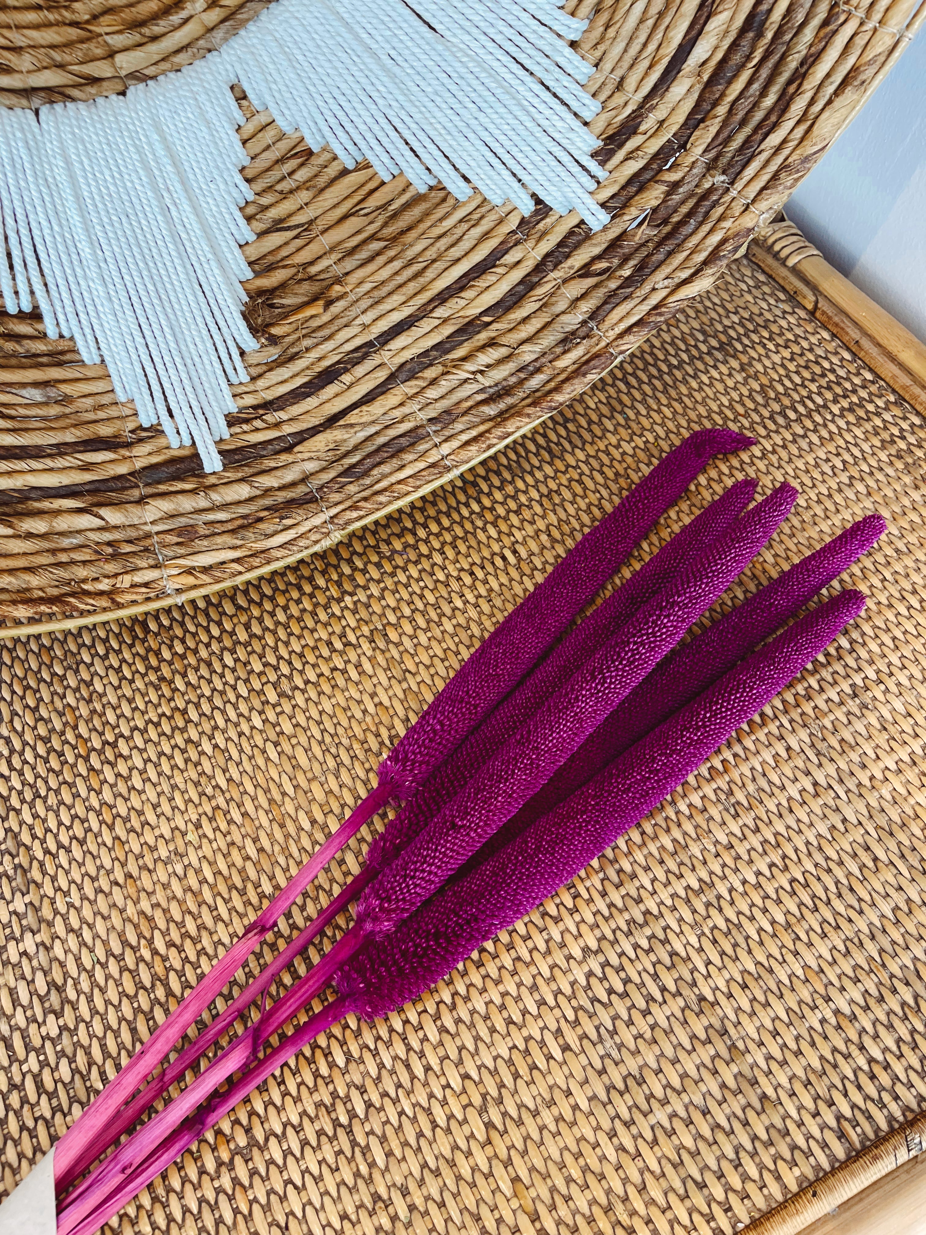 Dried Babala Flowers Purple