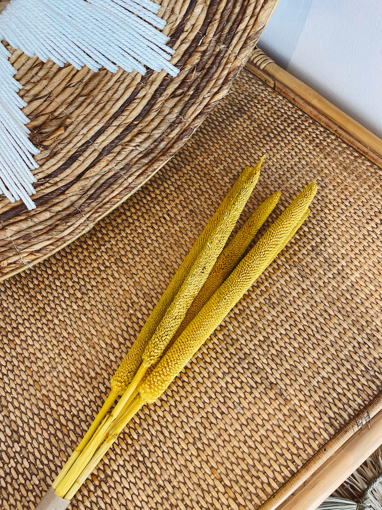 Dried Yellow Babala Flowers