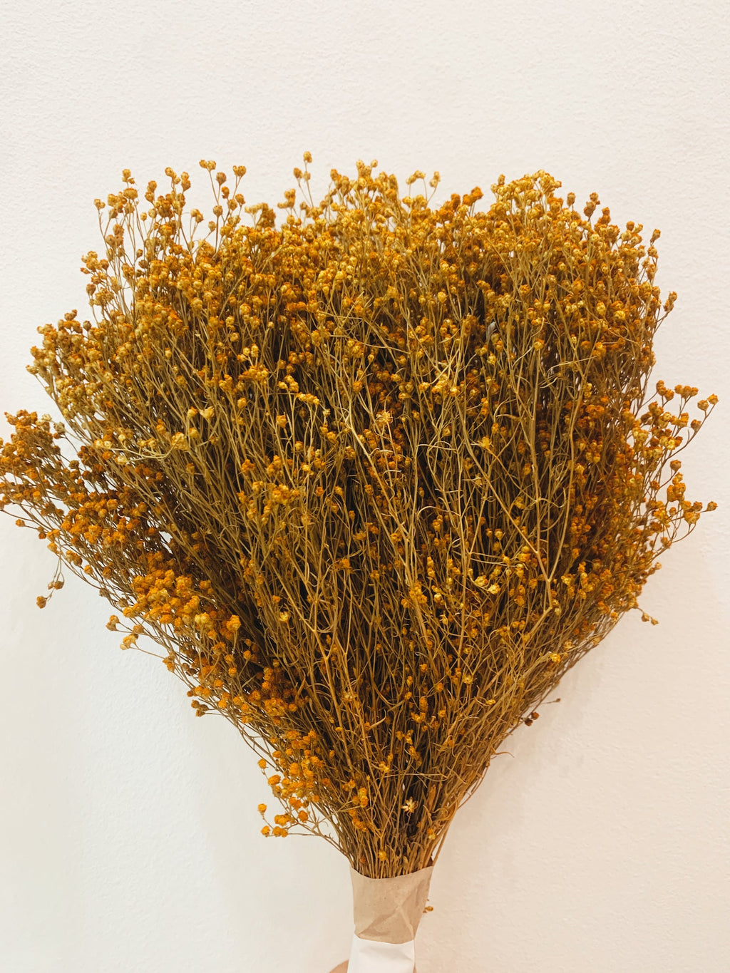 Flores Secas Broom Bloom Amarela