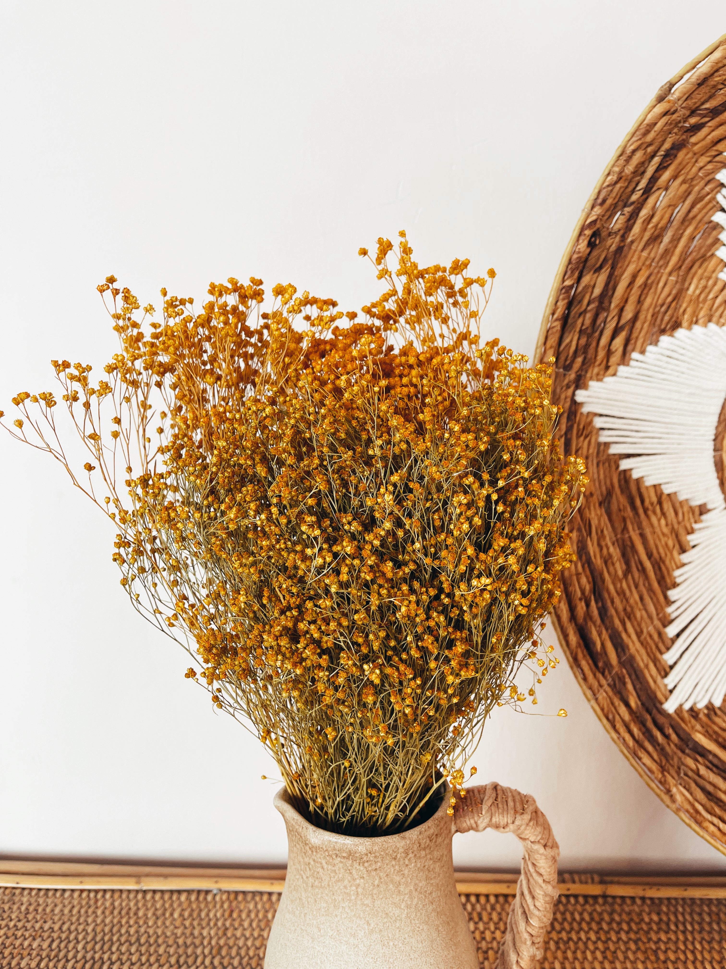 Dried Broom Bloom Yellow