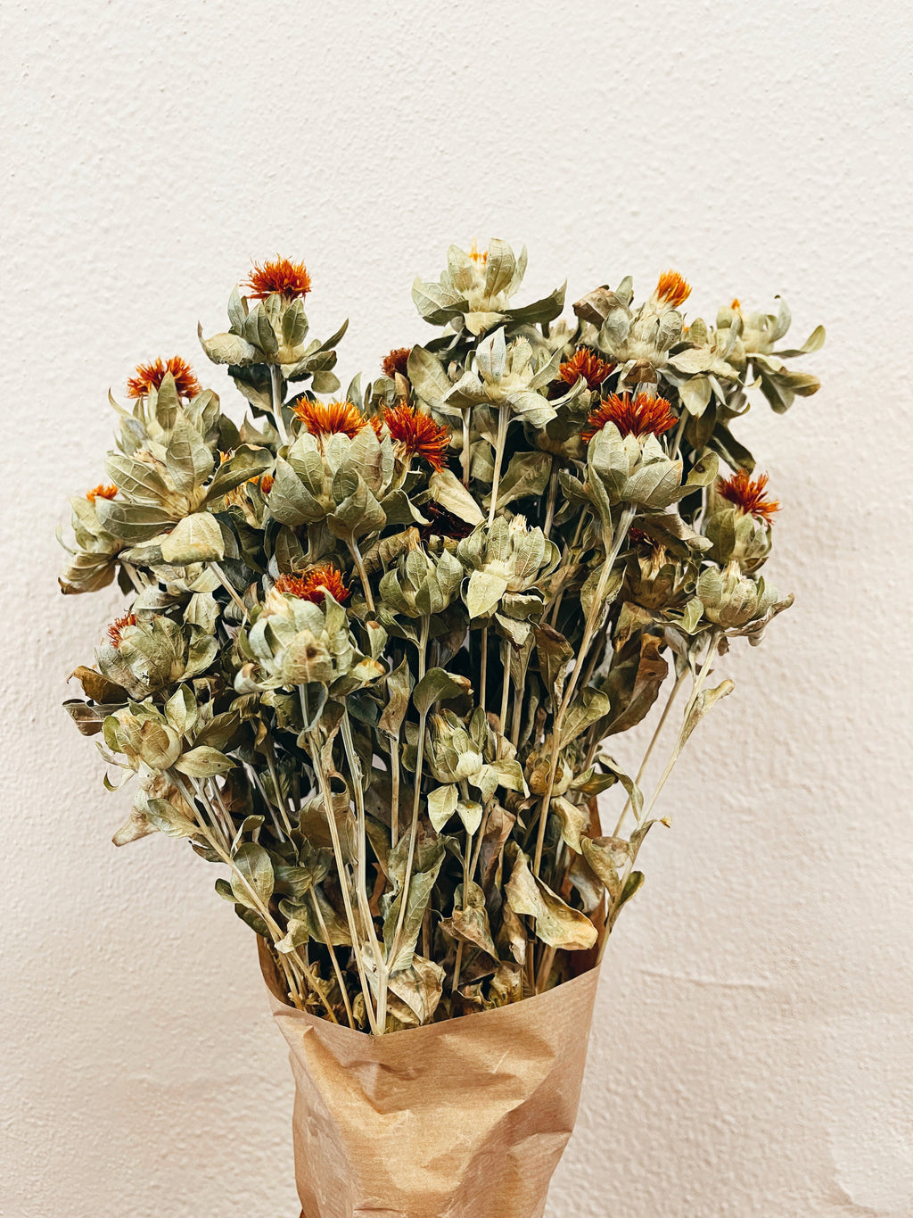Flores Secas Carthamus