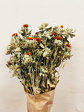 Flores Secas Carthamus