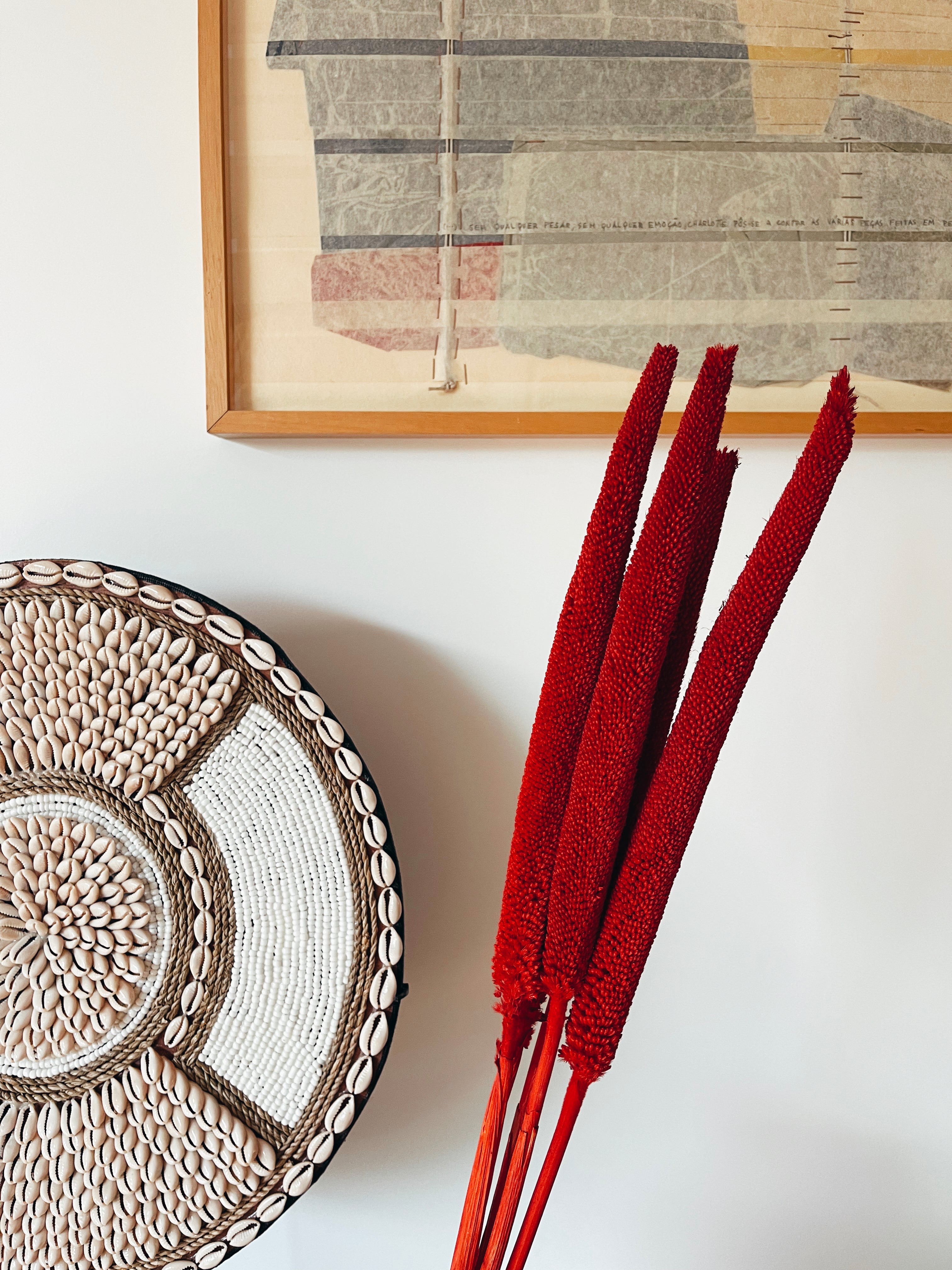Dried Red Babala Flowers