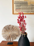 Dried Flowers Pink Phalaris