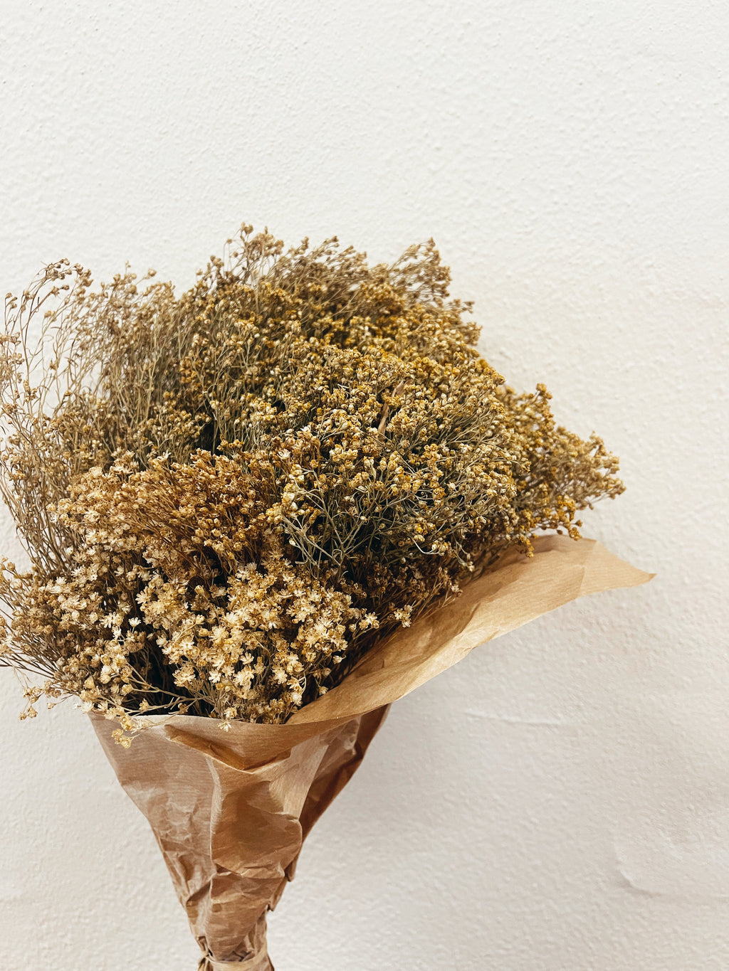 Flores Secas Broom Bloom Natural