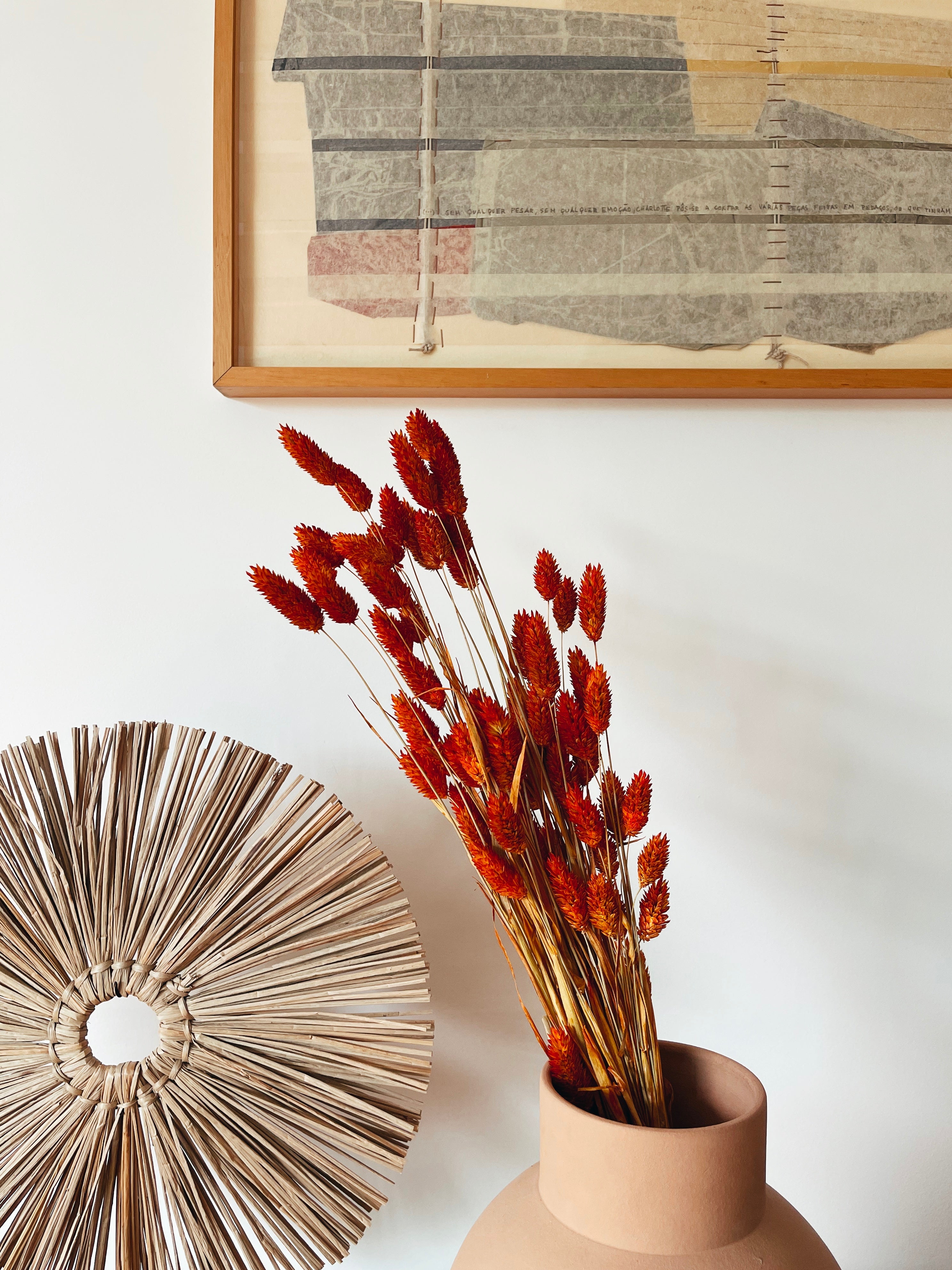 Flores Secas Phalaris Laranja