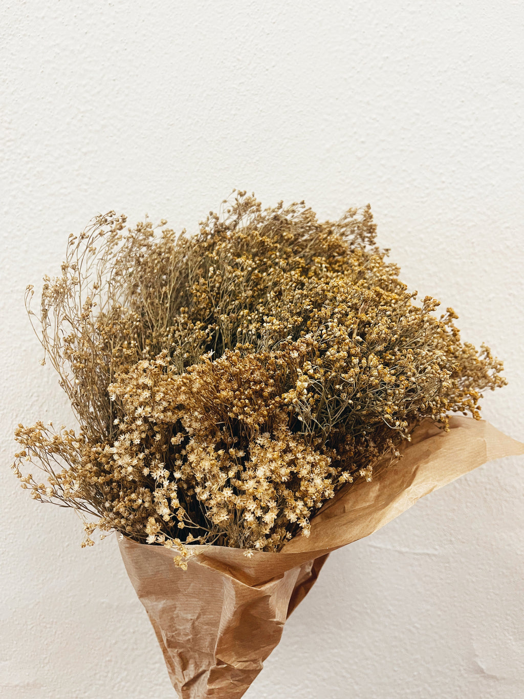 Flores Secas Broom Bloom Natural