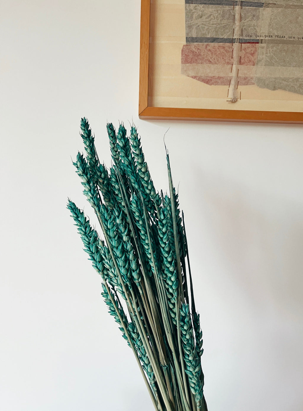 Dried Flowers Green Wheat