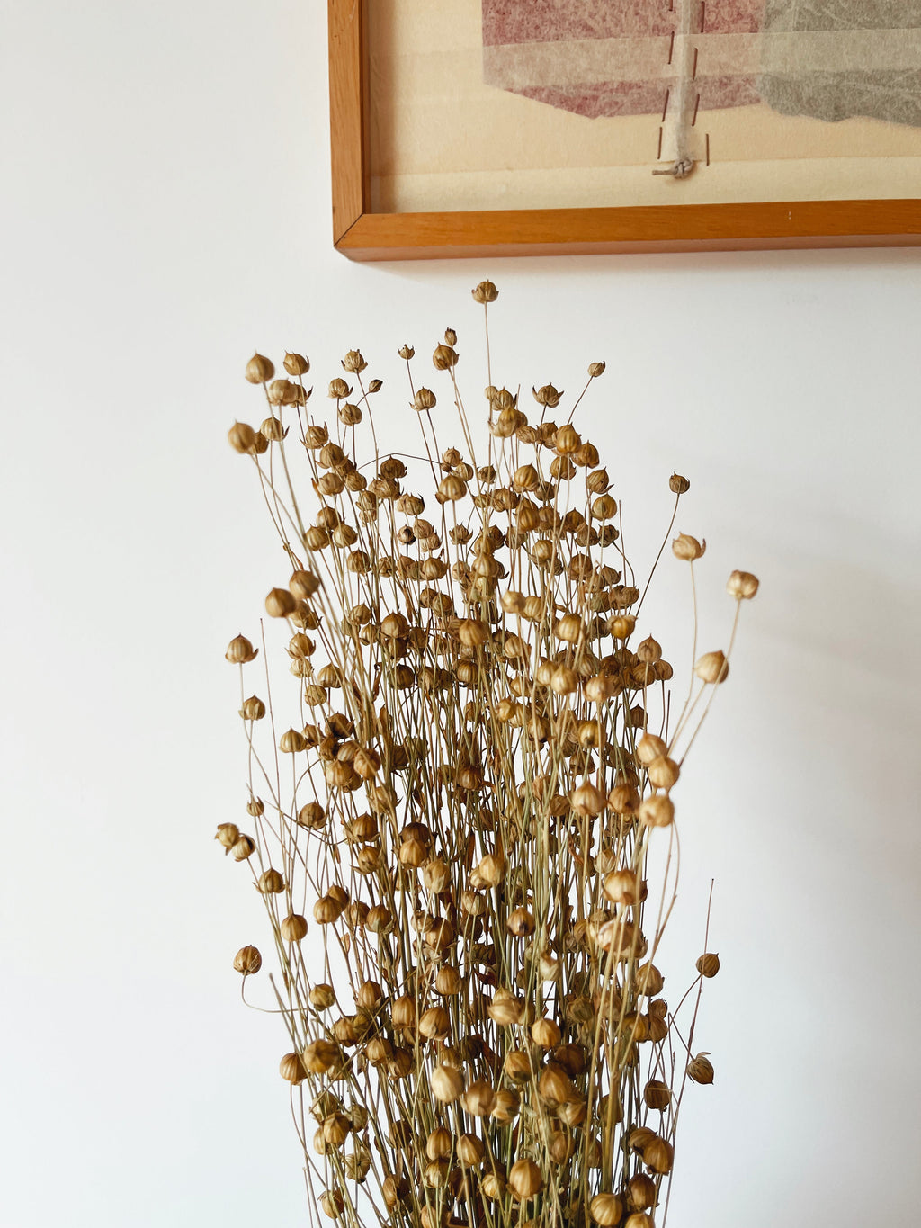 Dried Flowers Natural Linum