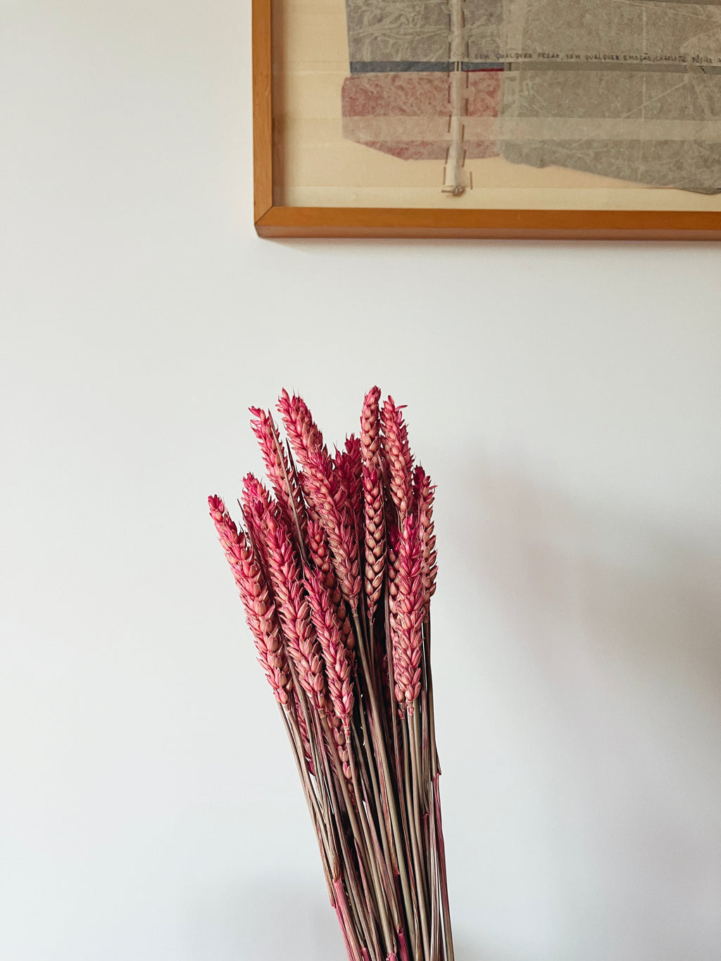 Dried Flowers Wheat Pink