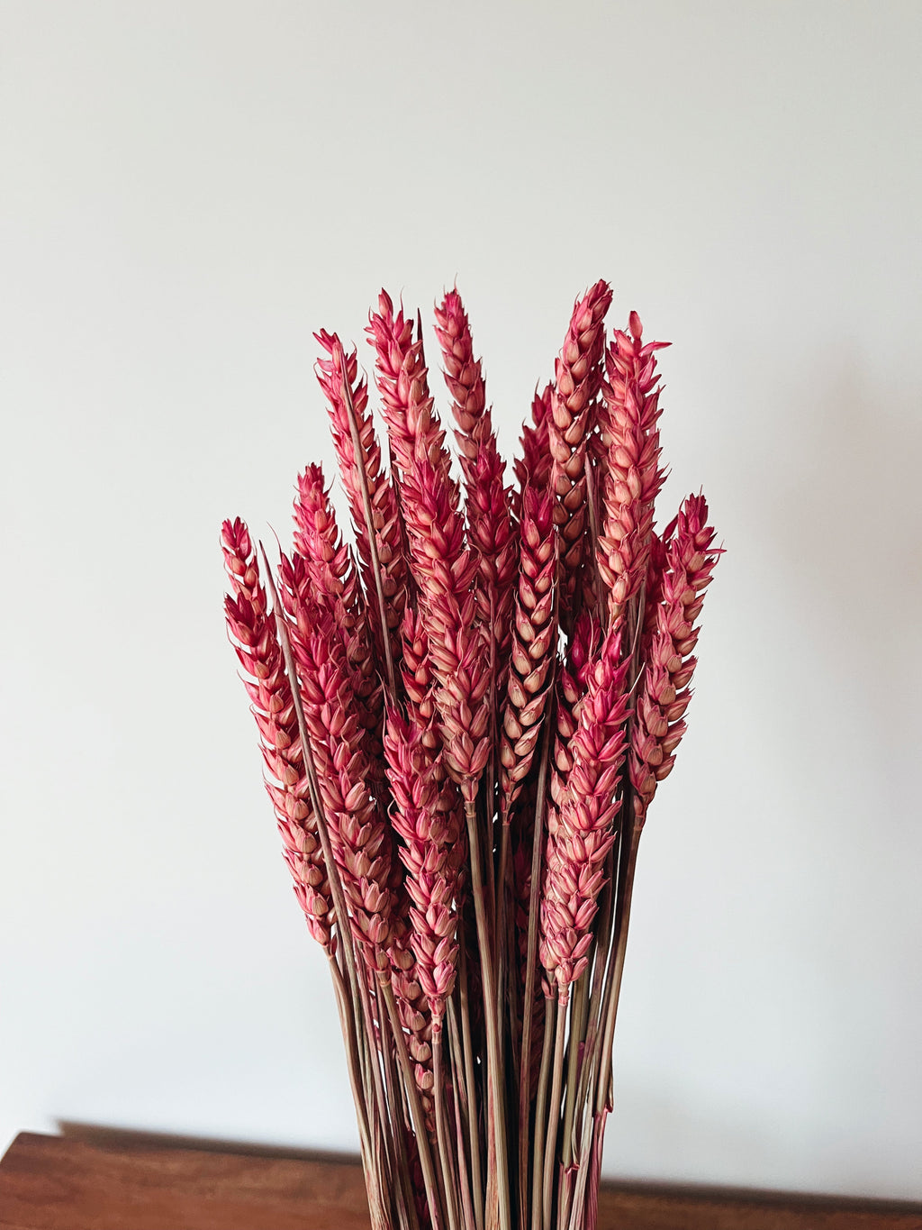 Dried Flowers Wheat Pink