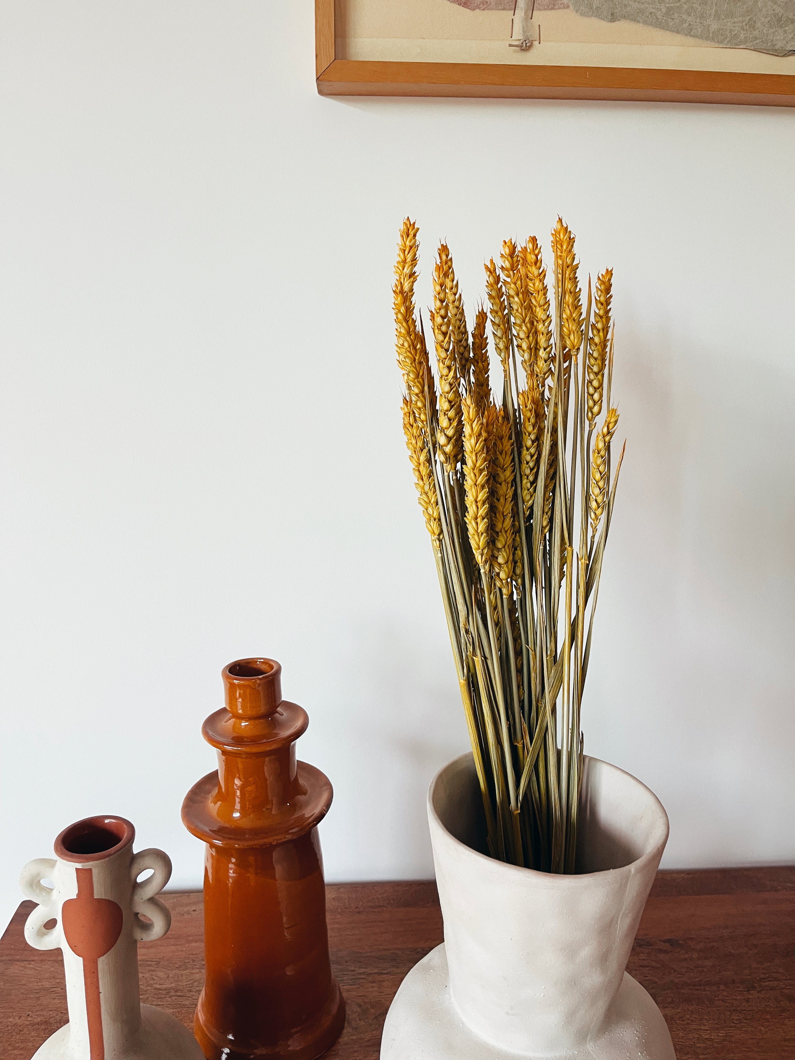 Flores Secas Trigo Amarelo