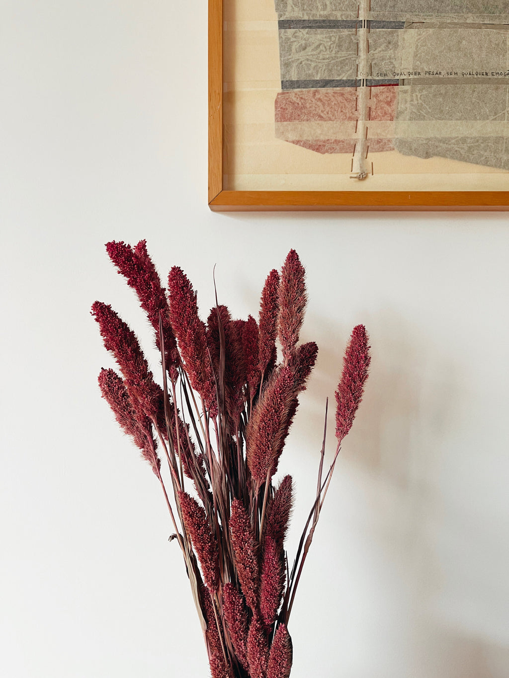 Dried Setaria Flowers Pink