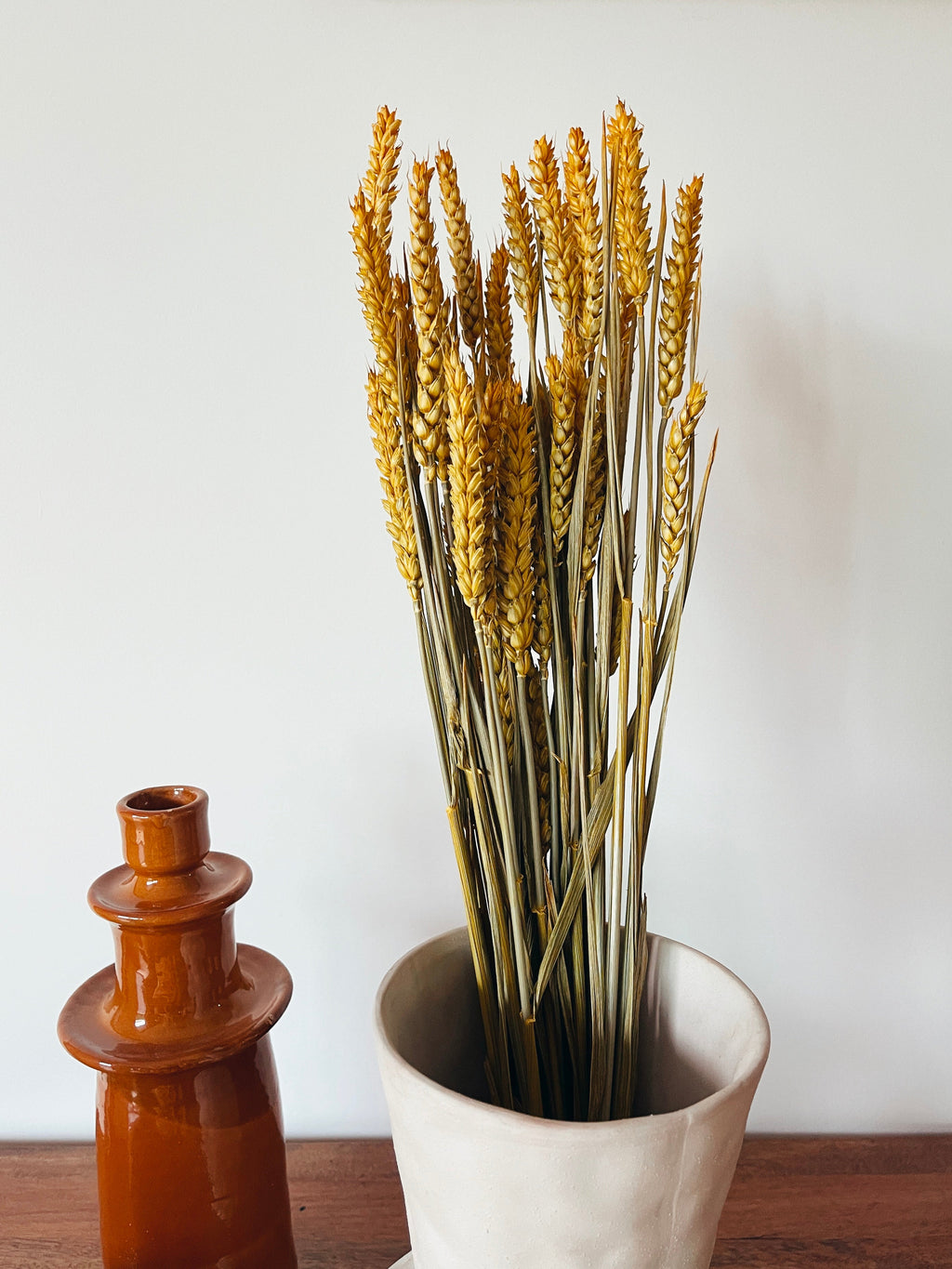 Dried Flowers Yellow Wheat