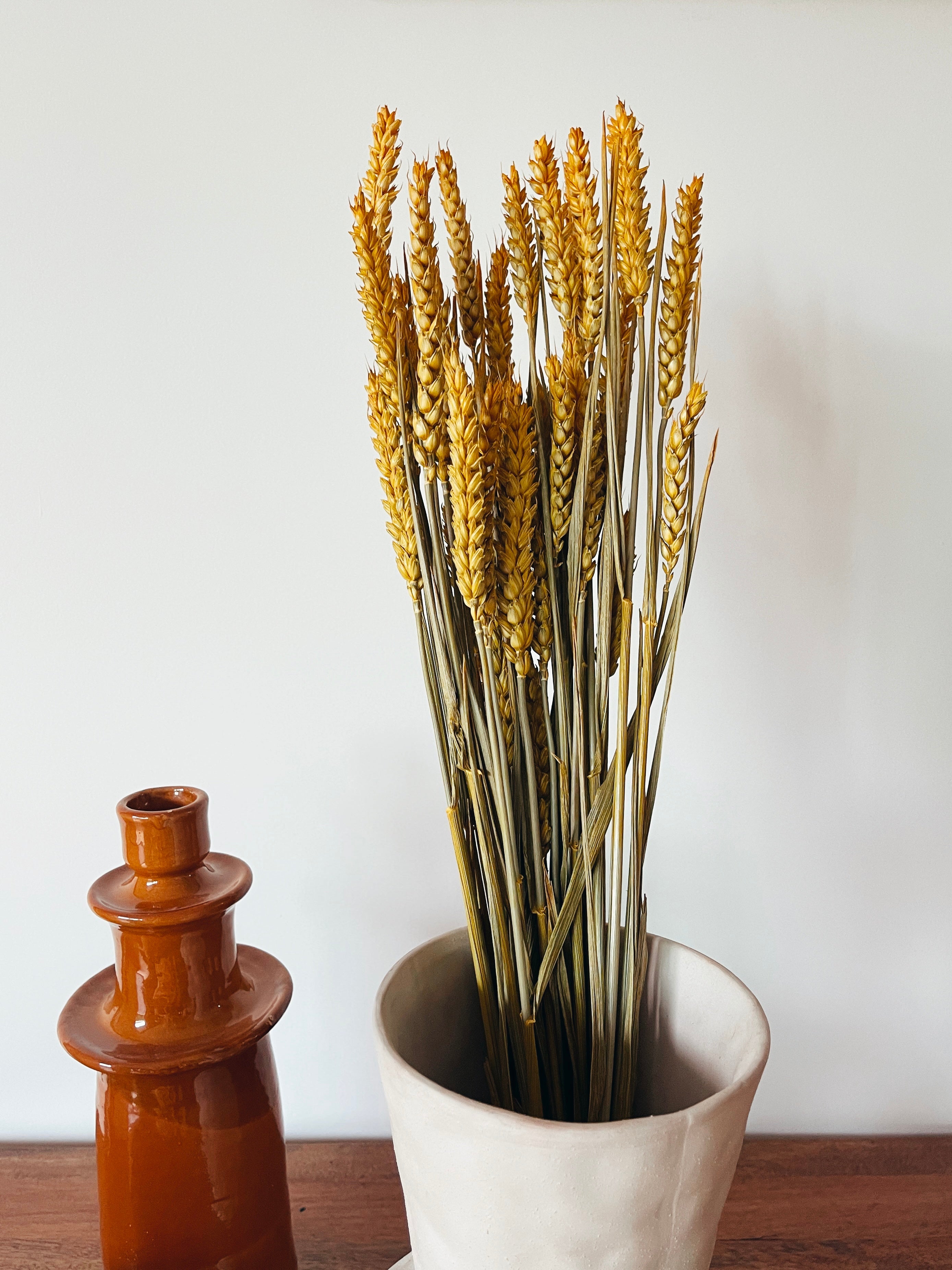 Flores Secas Trigo Amarelo