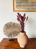 Dried Setaria Flowers Pink