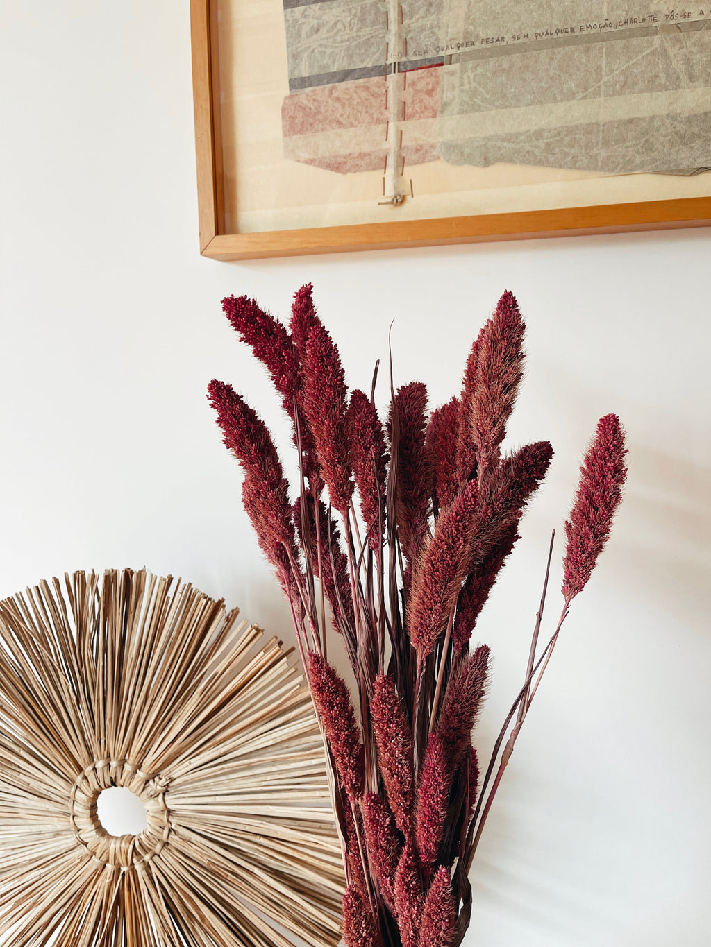 Dried Setaria Flowers Pink