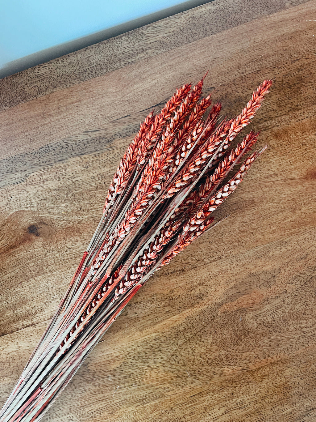 Dried Red Wheat Flowers