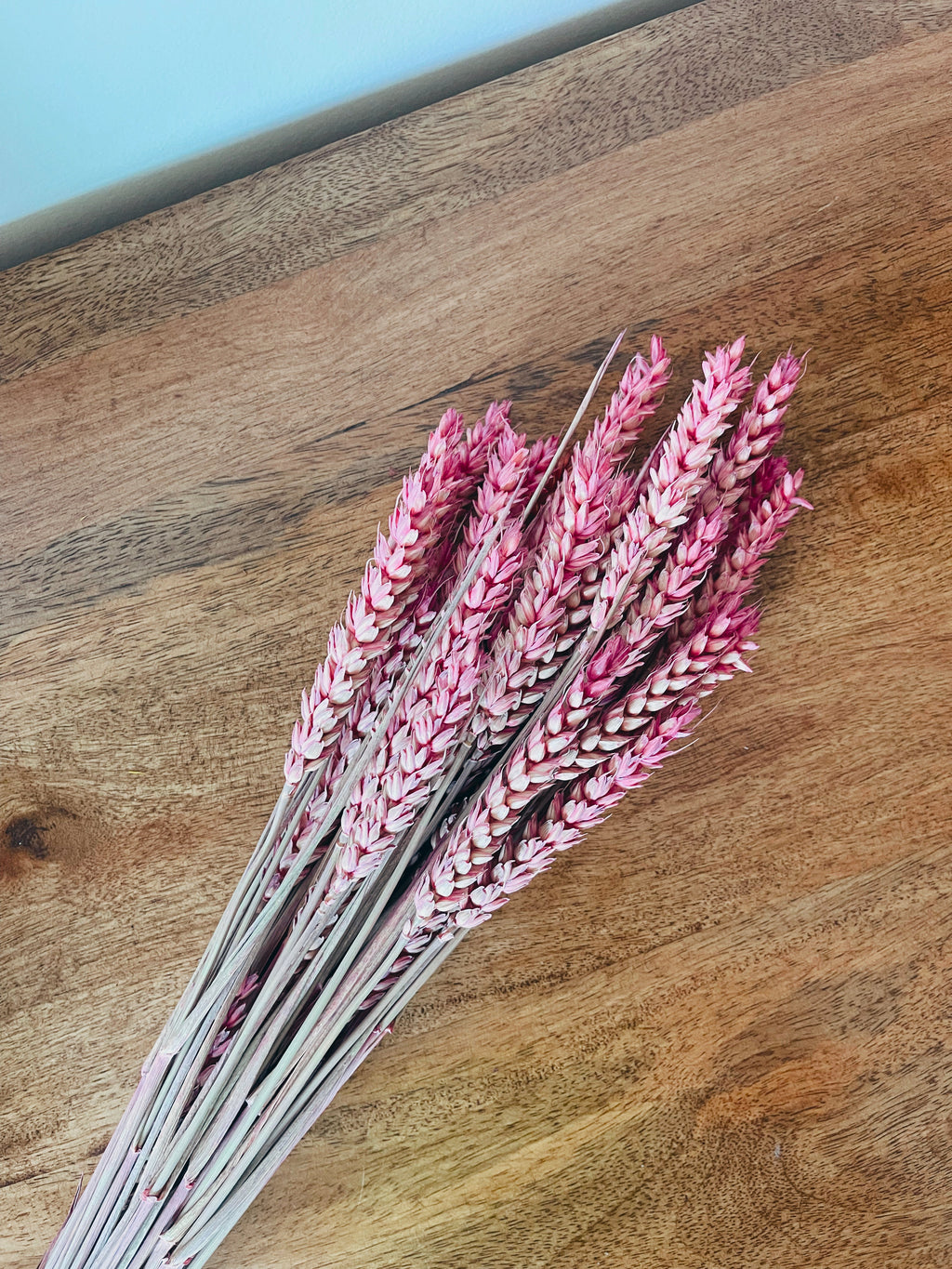 Dried Flowers Wheat Pink