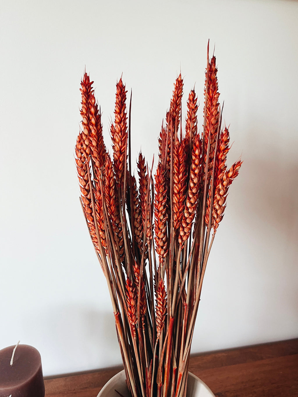 Dried Red Wheat Flowers