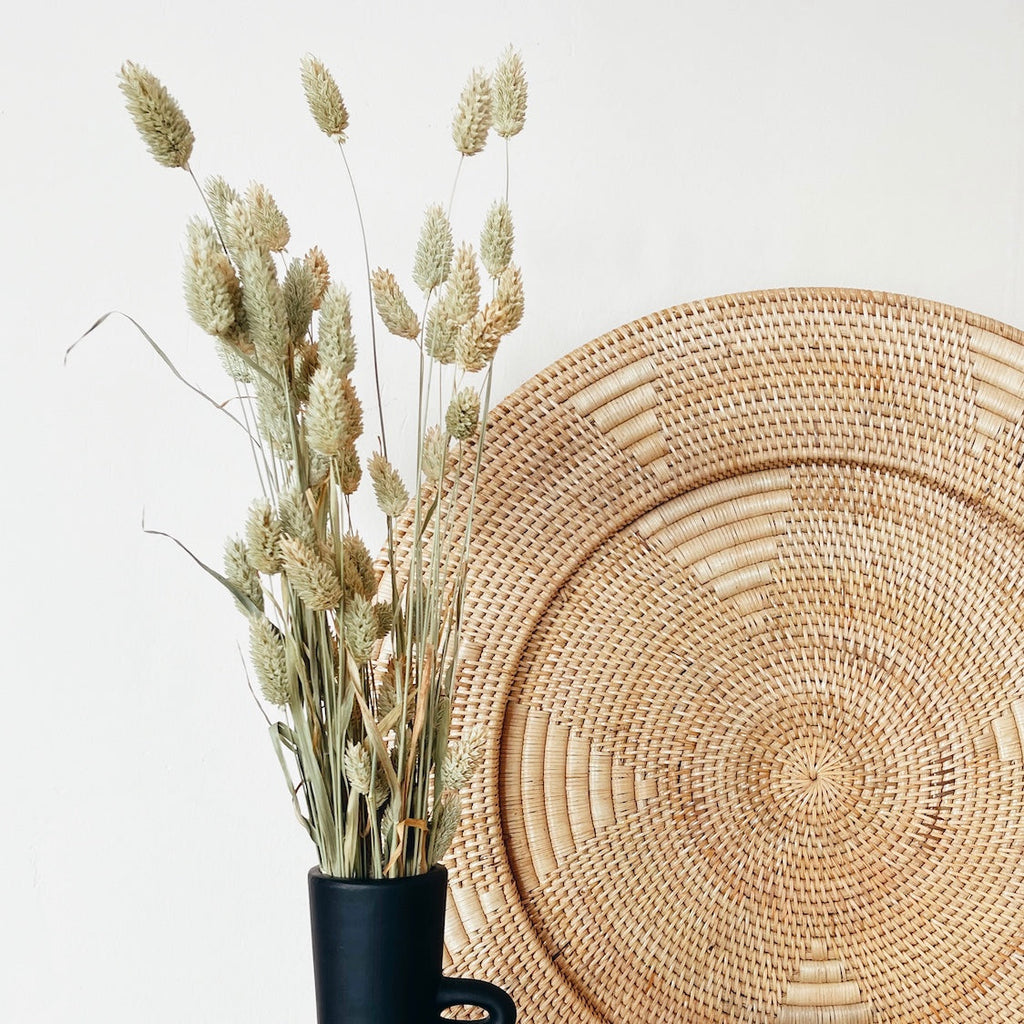 Dried Natural Phalaris Flowers