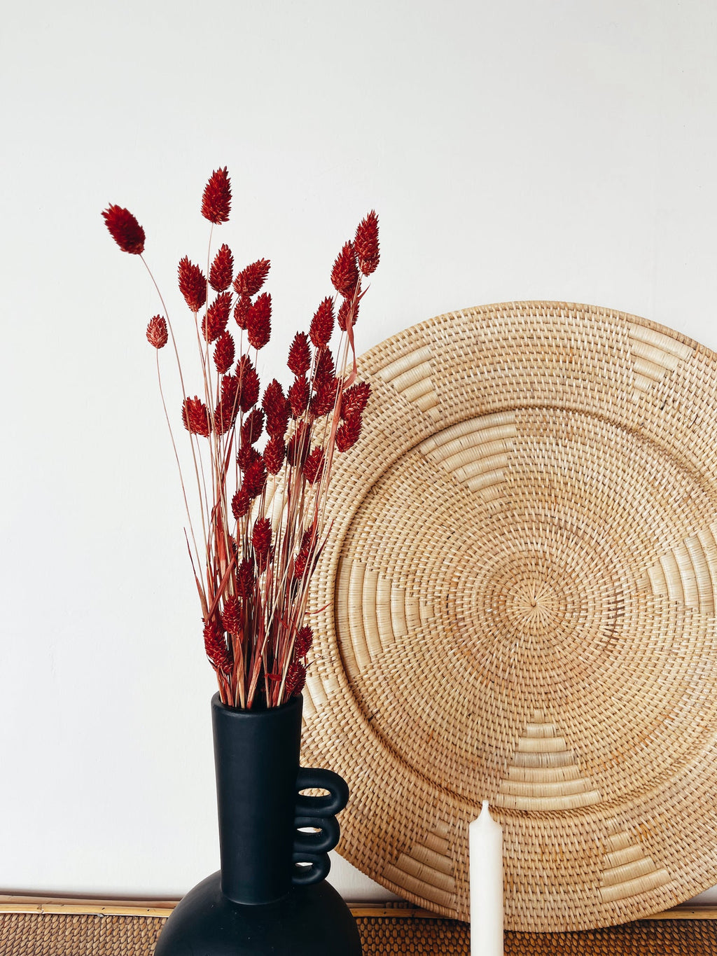 Dried Red Phalaris Flowers