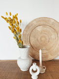 Dried Flowers Yellow Phalaris